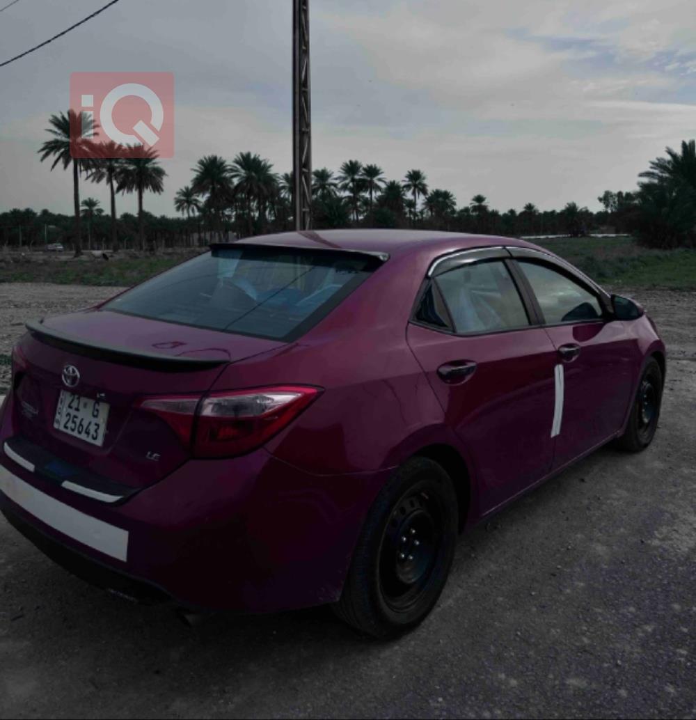 Toyota Corolla